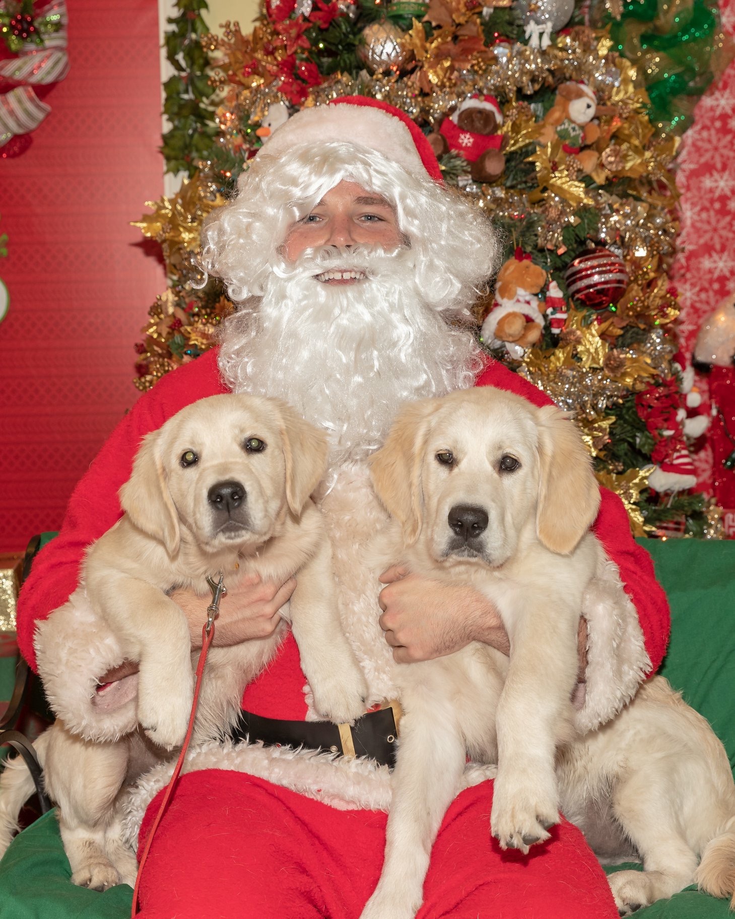 Pet Pictures with Santa